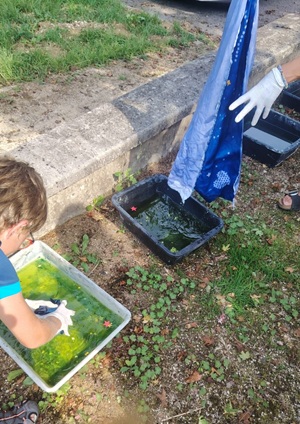 cyano 8